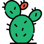 Nopal