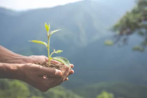 Conservación Ambiental