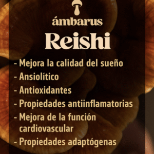 Reishi: el adaptógeno que calma, fortalece y transforma